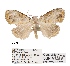  ( - ANHRTUK00194158)  @11 [ ] COPYRIGHT (2021) Unspecified ANHRT