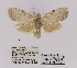  ( - ANHRTUK00194160)  @11 [ ] COPYRIGHT (2021) Unspecified ANHRT