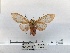  ( - ANHRTUK00194251)  @11 [ ] COPYRIGHT (2021) Unspecified ANHRT