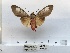  ( - ANHRTUK00194259)  @11 [ ] COPYRIGHT (2021) Unspecified ANHRT