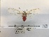  ( - ANHRTUK00194261)  @11 [ ] COPYRIGHT (2021) Unspecified ANHRT