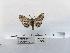  ( - ANHRTUK00194345)  @11 [ ] COPYRIGHT (2021) Unspecified ANHRT