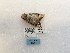  ( - ANHRTUK00194516)  @11 [ ] COPYRIGHT (2021) Unspecified ANHRT