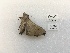  ( - ANHRTUK00194538)  @11 [ ] COPYRIGHT (2021) Unspecified ANHRT