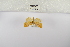  ( - ANHRTUK-00195990)  @11 [ ] Copyright (2021) Unspecified ANHRT