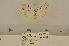  ( - ANHRTUK00199111)  @11 [ ] COPYRIGHT (2021) Unspecified ANHRT