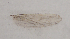  (Anopheles atroparvus - IZL154)  @11 [ ] Copyright (2018) Unspecified IZLER