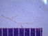  ( - A8-BHM2-1)  @11 [ ] CreativeCommons - Attribution Non-Commercial (2019) Nadine Rorem Wheaton College, Wheaton, IL.
