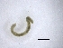  ( - BSC-101.3)  @11 [ ] CreativeCommons - Attribution Non-Commercial (2019) Susan Daniel Great Lakes Center