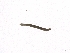  ( - BSC-134.2)  @11 [ ] CreativeCommons - Attribution Non-Commercial (2019) Susan Daniel Great Lakes Center