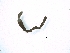  ( - BSC-134.3)  @11 [ ] CreativeCommons - Attribution Non-Commercial (2019) Susan Daniel Great Lakes Center