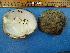  ( - BSC-15.3)  @11 [ ] CreativeCommons - Attribution Non-Commercial (2019) Susan Daniel Great Lakes Center