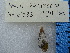  ( - BSC-194.11)  @11 [ ] CreativeCommons - Attribution Non-Commercial (2019) Susan Daniel Great Lakes Center