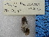  ( - BSC-194.12)  @11 [ ] CreativeCommons - Attribution Non-Commercial (2019) Susan Daniel Great Lakes Center