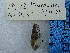  ( - BSC-194.12)  @11 [ ] CreativeCommons - Attribution Non-Commercial (2019) Susan Daniel Great Lakes Center
