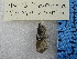  ( - BSC-194.13)  @11 [ ] CreativeCommons - Attribution Non-Commercial (2019) Susan Daniel Great Lakes Center