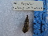  ( - BSC-196.1)  @11 [ ] CreativeCommons - Attribution Non-Commercial (2019) Susan Daniel Great Lakes Center