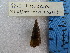  ( - BSC-196.2)  @11 [ ] CreativeCommons - Attribution Non-Commercial (2019) Susan Daniel Great Lakes Center
