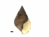  ( - BSC-256.4)  @11 [ ] CreativeCommons - Attribution Non-Commercial (2019) Susan Daniel Great Lakes Center