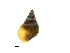  ( - BSC-256.5)  @11 [ ] CreativeCommons - Attribution Non-Commercial (2019) Susan Daniel Great Lakes Center