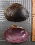  ( - BSC-264.3)  @11 [ ] CreativeCommons - Attribution Non-Commercial (2019) Susan Daniel Great Lakes Center