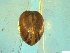  ( - BSC-50.1)  @11 [ ] CreativeCommons - Attribution Non-Commercial (2019) Susan Daniel Great Lakes Center