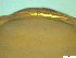  ( - BSC-50.2)  @11 [ ] CreativeCommons - Attribution Non-Commercial (2019) Susan Daniel Great Lakes Center