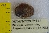  ( - BSC-51.1)  @11 [ ] CreativeCommons - Attribution Non-Commercial (2019) Susan Daniel Great Lakes Center