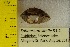  ( - BSC-51.2)  @11 [ ] CreativeCommons - Attribution Non-Commercial (2019) Susan Daniel Great Lakes Center