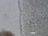  ( - BSC-68.1)  @11 [ ] CreativeCommons - Attribution Non-Commercial (2018) Susan E. Daniel Great Lakes Center