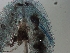  ( - BSC-87.2)  @11 [ ] CreativeCommons - Attribution Non-Commercial (2018) Susan E. Daniel Great Lakes Center