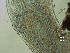  ( - BSC-89.3)  @11 [ ] CreativeCommons - Attribution Non-Commercial (2018) Susan E. Daniel Great Lakes Center
