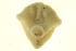  ( - BIOUG00690-A07)  @11 [ ] CreativeCommons - Attribution (2011) CBG Photography Group Centre for Biodiversity Genomics