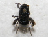  ( - CCDB-14520-D01)  @11 [ ] No Rights Reserved (2023) Unspecified York University