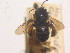  ( - CCDB-14520-E09)  @11 [ ] No Rights Reserved (2023) Unspecified York University