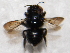  ( - CCDB-14520-H05)  @11 [ ] No Rights Reserved (2023) Unspecified York University