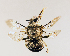  ( - CCDB-34578-B03)  @11 [ ] No Rights Reserved (2023) Unspecified York University