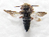  ( - CCDB-34578-B04)  @11 [ ] No Rights Reserved (2023) Unspecified York University
