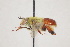  ( - CCDB-34578-B08)  @11 [ ] No Rights Reserved (2023) Unspecified York University