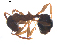  ( - CCDB-08858-D04)  @14 [ ] Copyright  G. Blagoev 2010 Unspecified