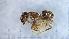  (Lasius turcicus - MM20C158a1)  @11 [ ] CC BY-NC-SA 3.0 (2022) Mattia Menchetti, Institute of Evolutionary Biology Institut de Biologia Evolutiva (CSIC-UPF), Butterfly Diversity and Evolution Lab