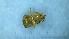  ( - MM21B669e1)  @11 [ ] CC BY-NC-SA 3.0 (2022) Mattia Menchetti, Institute of Evolutionary Biology Institut de Biologia Evolutiva (CSIC-UPF), Butterfly Diversity and Evolution Lab
