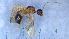  ( - MM21D323a1)  @11 [ ] CC BY-NC-SA 3.0 (2022) Mattia Menchetti, Institute of Evolutionary Biology Institut de Biologia Evolutiva (CSIC-UPF), Butterfly Diversity and Evolution Lab