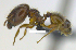  ( - MACN-Bar-Ins-ct 07213)  @11 [ ] Copyright (2016) MACN Museo Argentino de Ciencias Naturales "Bernardino Rivadavia"