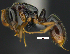  ( - MACN-Bar-Ins-ct 07361)  @14 [ ] Copyright (2016) MACN Museo Argentino de Ciencias Naturales "Bernardino Rivadavia"