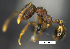  ( - MACN-Bar-Ins-ct 07385)  @11 [ ] Copyright (2016) MACN Museo Argentino de Ciencias Naturales "Bernardino Rivadavia"