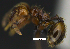  ( - MACN-Bar-Ins-ct 07428)  @11 [ ] Copyright (2016) MACN Museo Argentino de Ciencias Naturales "Bernardino Rivadavia"
