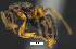  ( - MACN-Bar-Ins-ct 07433)  @13 [ ] Copyright (2016) MACN Museo Argentino de Ciencias Naturales "Bernardino Rivadavia"