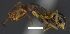  ( - MACN-Bar-Ins-ct 07626)  @13 [ ] Copyright (2017) MACN Museo Argentino de Ciencias Naturales "Bernardino Rivadavia"