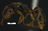  (Anochetus altisquamis - MACN-bar-ins-ct 07702)  @14 [ ] Copyright (2017) MACN Museo Argentino de Ciencias Naturales "Bernardino Rivadavia"